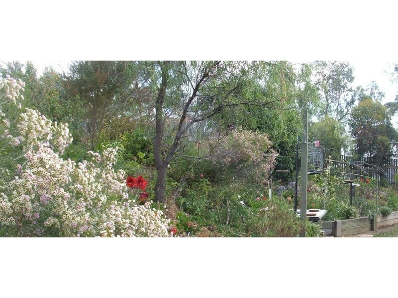 15 Warrina Court, Kingsthorpe QLD 4400