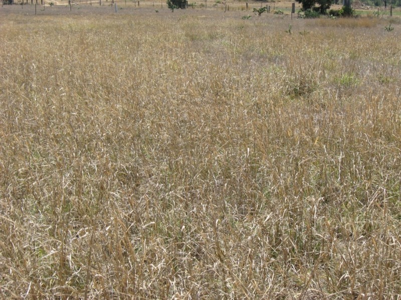 5 Peranga Evergreen Road, Peranga QLD 4352