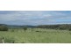 Mount Tyson QLD 4356