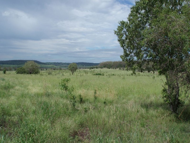 Mount Tyson QLD 4356