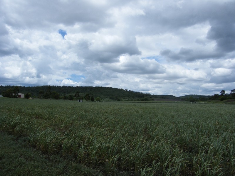 0 Gowrie-Lilyvale Rd, Glencoe, Meringandan QLD 4352