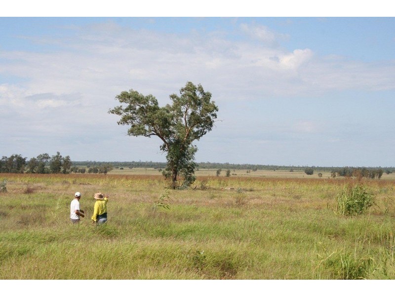 “ALTONVALE” MOONIE HWY, St George QLD 4487