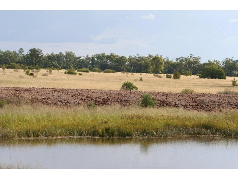 “ALTONVALE” MOONIE HWY, St George QLD 4487