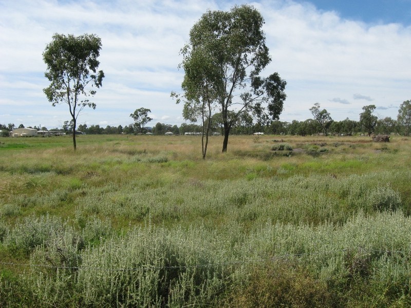 Lot 36 Ramsay Street, Oakey QLD 4401