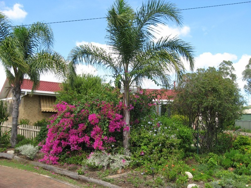 14 Wright Street, Oakey QLD 4401