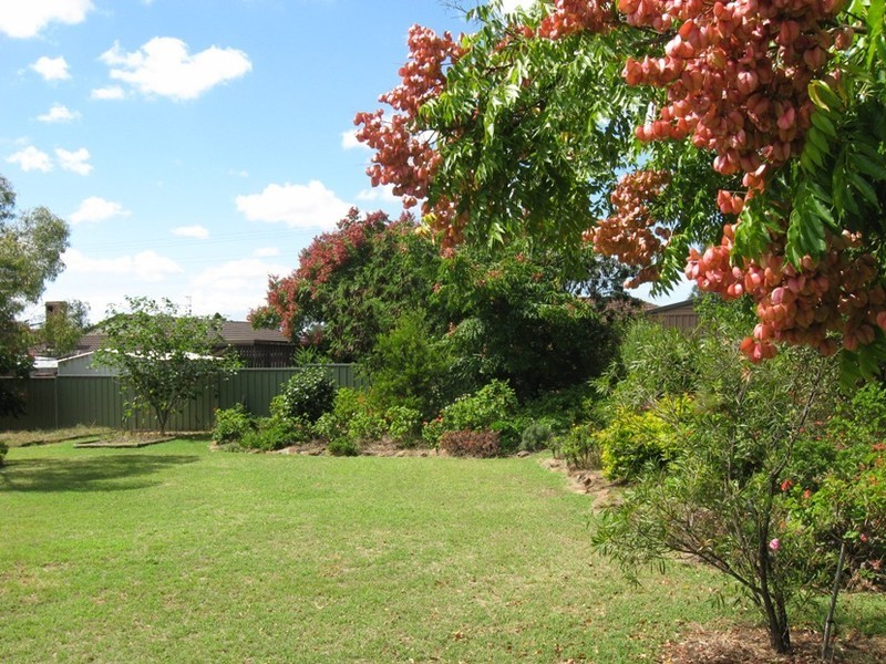 14 Wright Street, Oakey QLD 4401