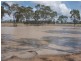 441 Percy Jurgs Road, Cecil Plains QLD 4407