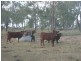 1,596 Warwick Allora Road, Allora QLD 4362