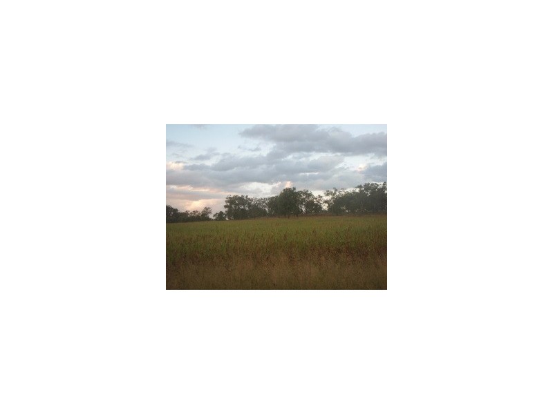 1,596 Warwick Allora Road, Allora QLD 4362