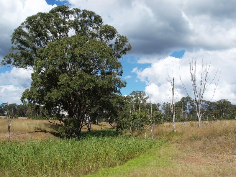 236 Reushle Road, Cabarlah QLD 4352
