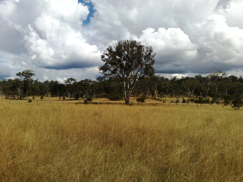 236 Reushle Road, Cabarlah QLD 4352