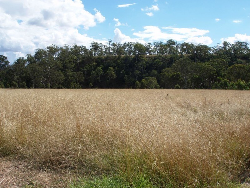 236 Reushle Road, Cabarlah QLD 4352