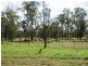 236 Reushle Road, Cabarlah QLD 4352