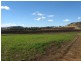“BRUNNERS” WRIGHTS ROAD, Kingsthorpe QLD 4400