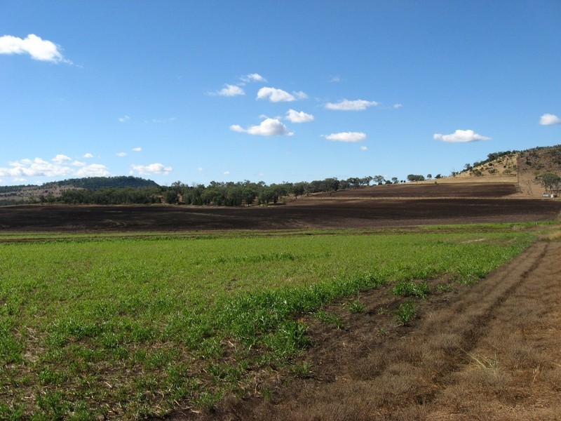 “BRUNNERS” WRIGHTS ROAD, Kingsthorpe QLD 4400