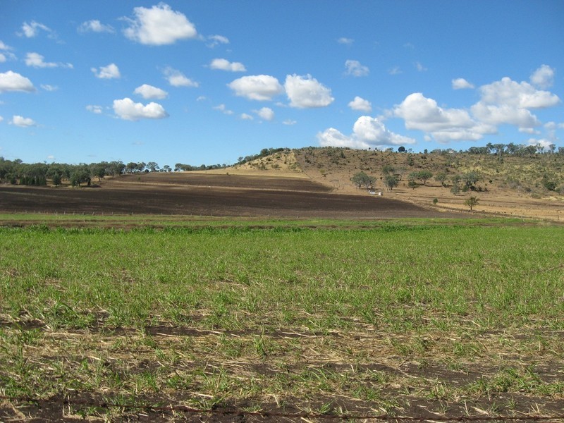“BRUNNERS” WRIGHTS ROAD, Kingsthorpe QLD 4400