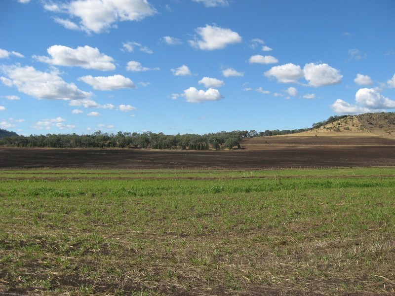 “BRUNNERS” WRIGHTS ROAD, Kingsthorpe QLD 4400