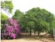 33 Werth Street, Oakey QLD 4401