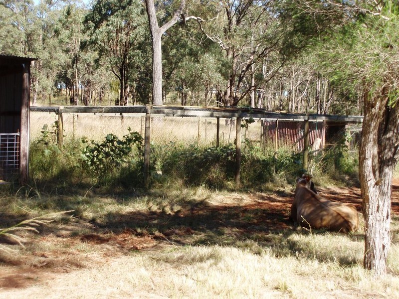 257 Reushle Road, Cabarlah QLD 4352