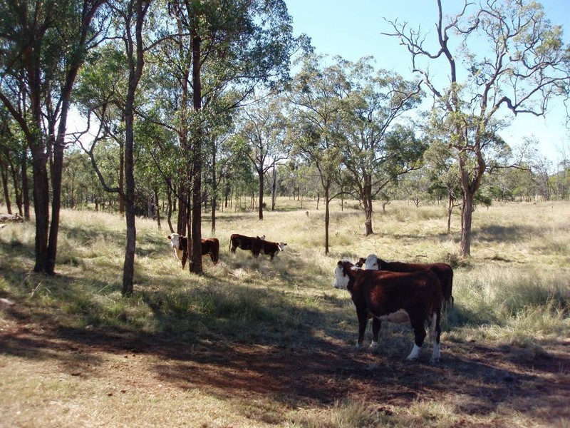 257 Reushle Road, Cabarlah QLD 4352