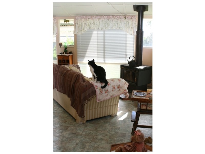 94  Rosenberg Road, Ma Ma Creek QLD 4347