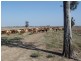 “CORACK” Meandarra- Condamine Road, Meandarra QLD 4422