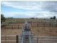 “CORACK” Meandarra- Condamine Road, Meandarra QLD 4422