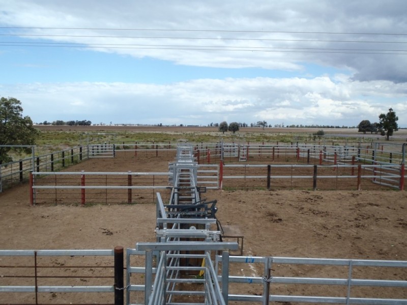 “CORACK” Meandarra- Condamine Road, Meandarra QLD 4422