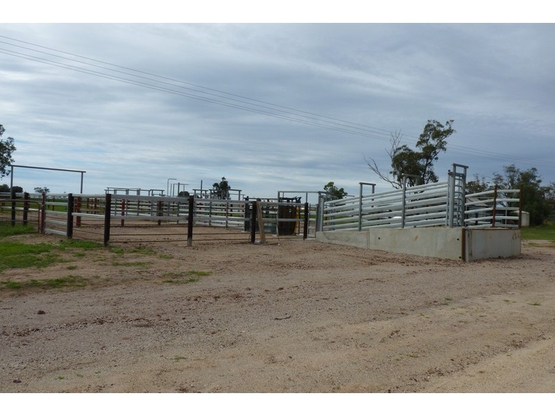 “CORACK” Meandarra- Condamine Road, Meandarra QLD 4422