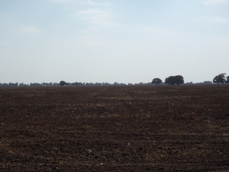 “CORACK” Meandarra- Condamine Road, Meandarra QLD 4422