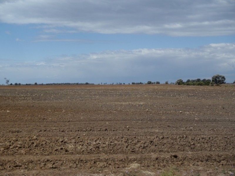 “CORACK” Meandarra- Condamine Road, Meandarra QLD 4422