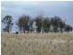 “THE LAURELS” Meandarra – Condamine, Meandarra QLD 4422