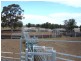 “THE LAURELS” Meandarra – Condamine, Meandarra QLD 4422