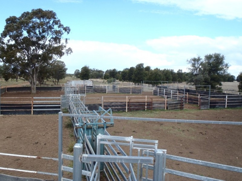 “THE LAURELS” Meandarra – Condamine, Meandarra QLD 4422