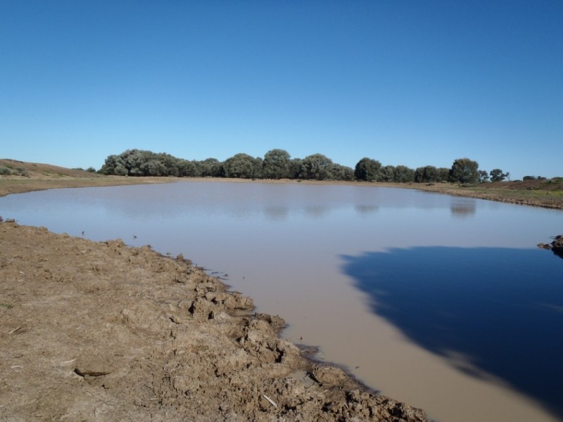 “THE LAURELS” Meandarra – Condamine, Meandarra QLD 4422