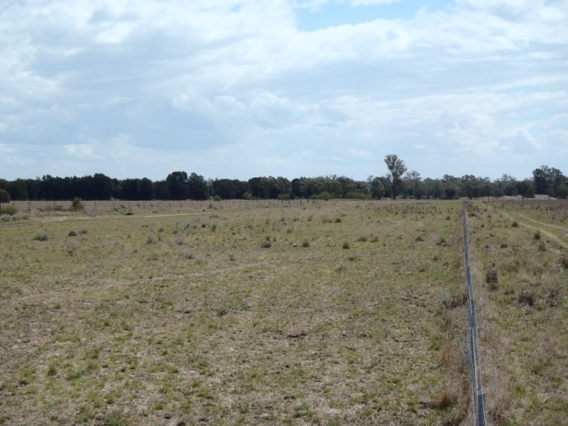 “THE LAURELS” Meandarra – Condamine, Meandarra QLD 4422