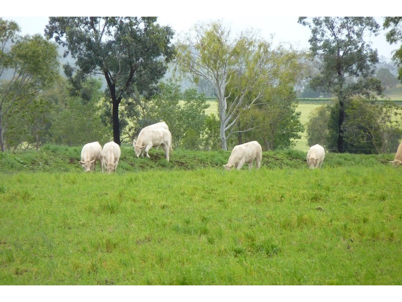 1 DEVON PARK ROAD, Oakey QLD 4401