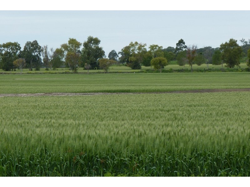 1 DEVON PARK ROAD, Oakey QLD 4401