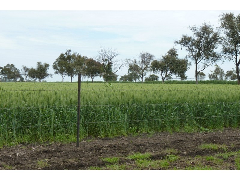 1 DEVON PARK ROAD, Oakey QLD 4401