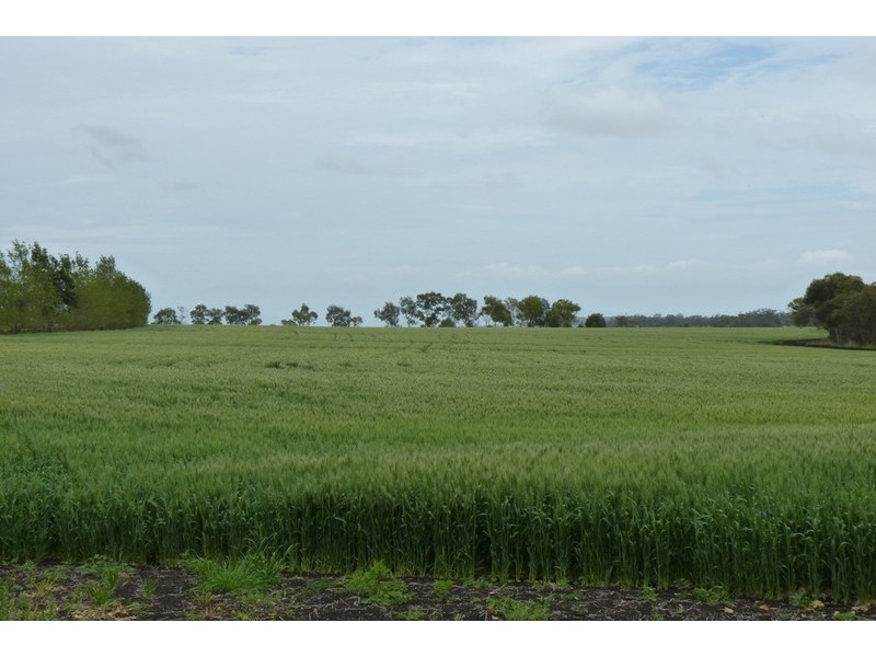 1 DEVON PARK ROAD, Oakey QLD 4401