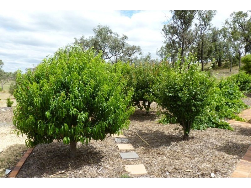 270 Aubigny-Crosshill Road, Biddeston QLD 4401