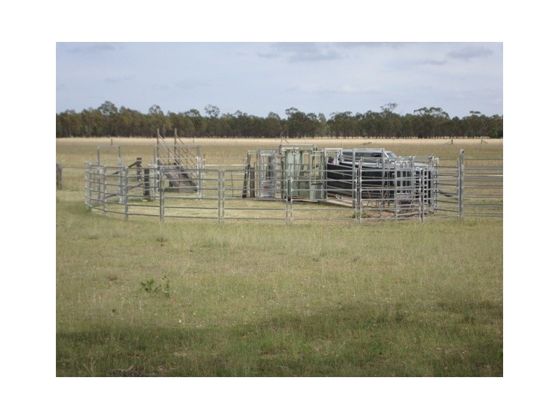 553 “Canterbury”, Turallin Rd, Millmerran QLD 4357