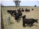 553 “Canterbury”, Turallin Rd, Millmerran QLD 4357