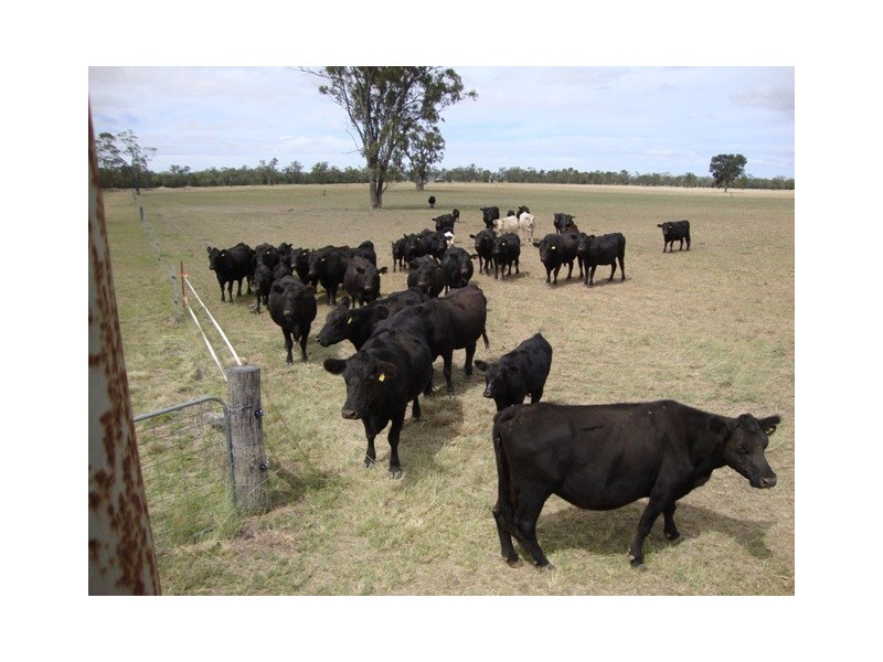 553 “Canterbury”, Turallin Rd, Millmerran QLD 4357