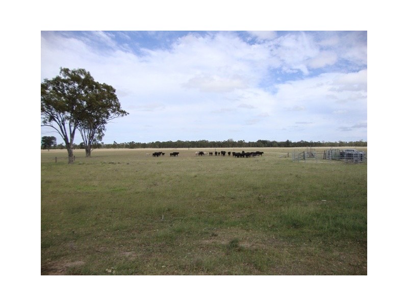 553 “Canterbury”, Turallin Rd, Millmerran QLD 4357