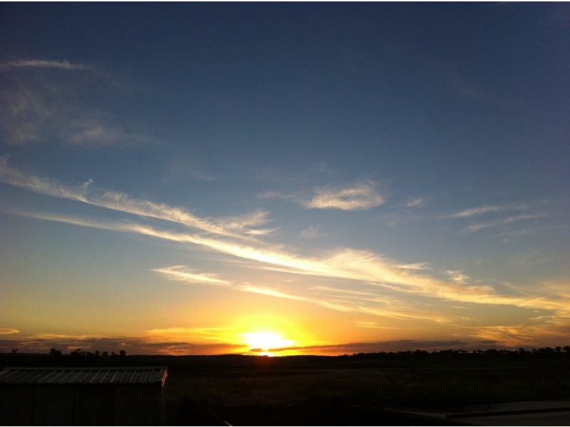 15 LOUTTIT CT, Gowrie Mountain QLD 4350