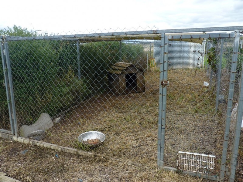 15 LOUTTIT CT, Gowrie Mountain QLD 4350