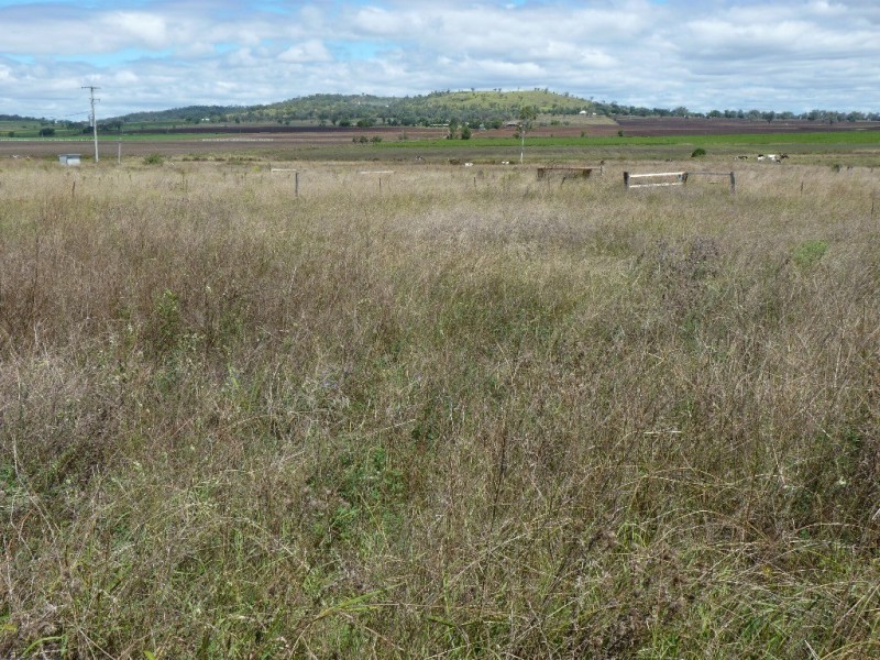 15 LOUTTIT CT, Gowrie Mountain QLD 4350