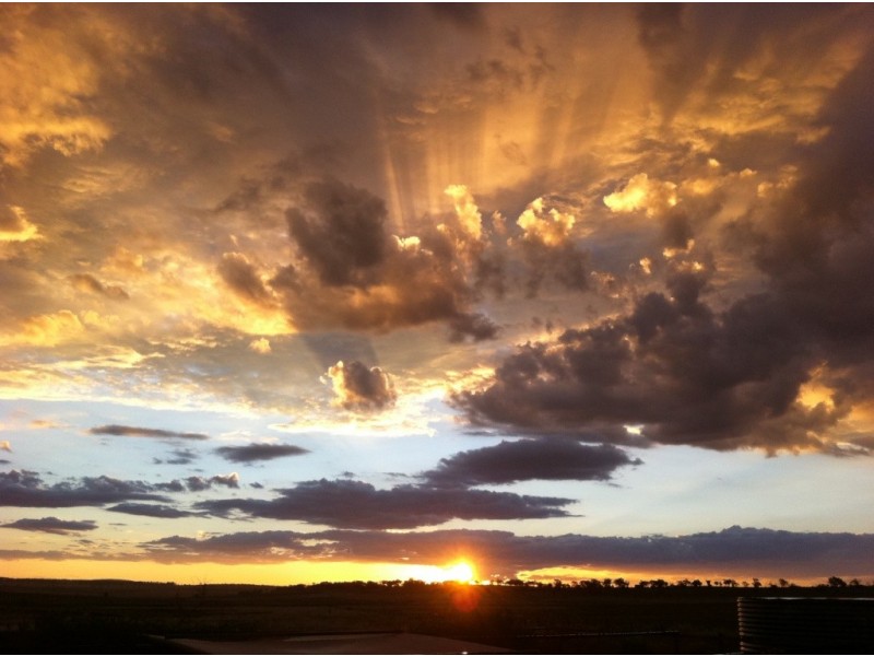 15 LOUTTIT CT, Gowrie Mountain QLD 4350