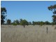 Bollon QLD 4488